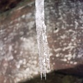 Ice on the Sheltowee Trace.jpg